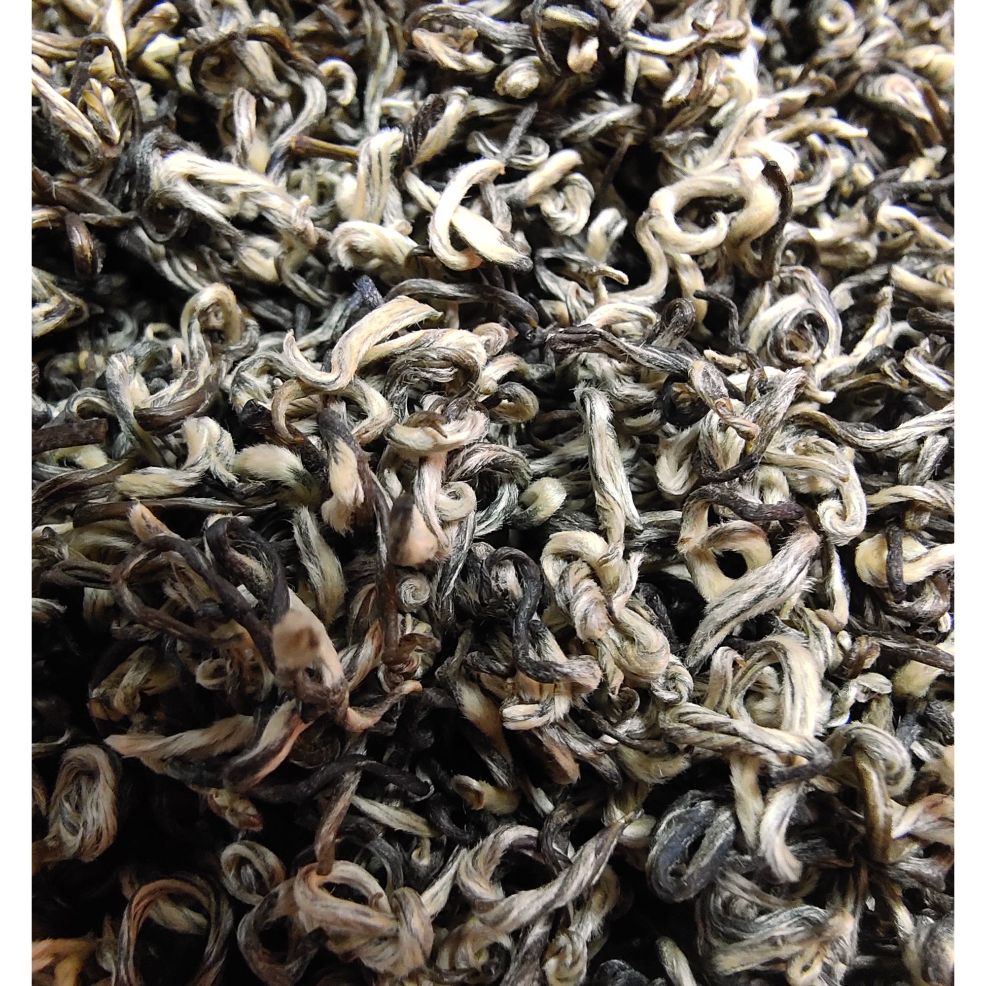 曲毫飘雪 高品质茉莉花茶 高飘