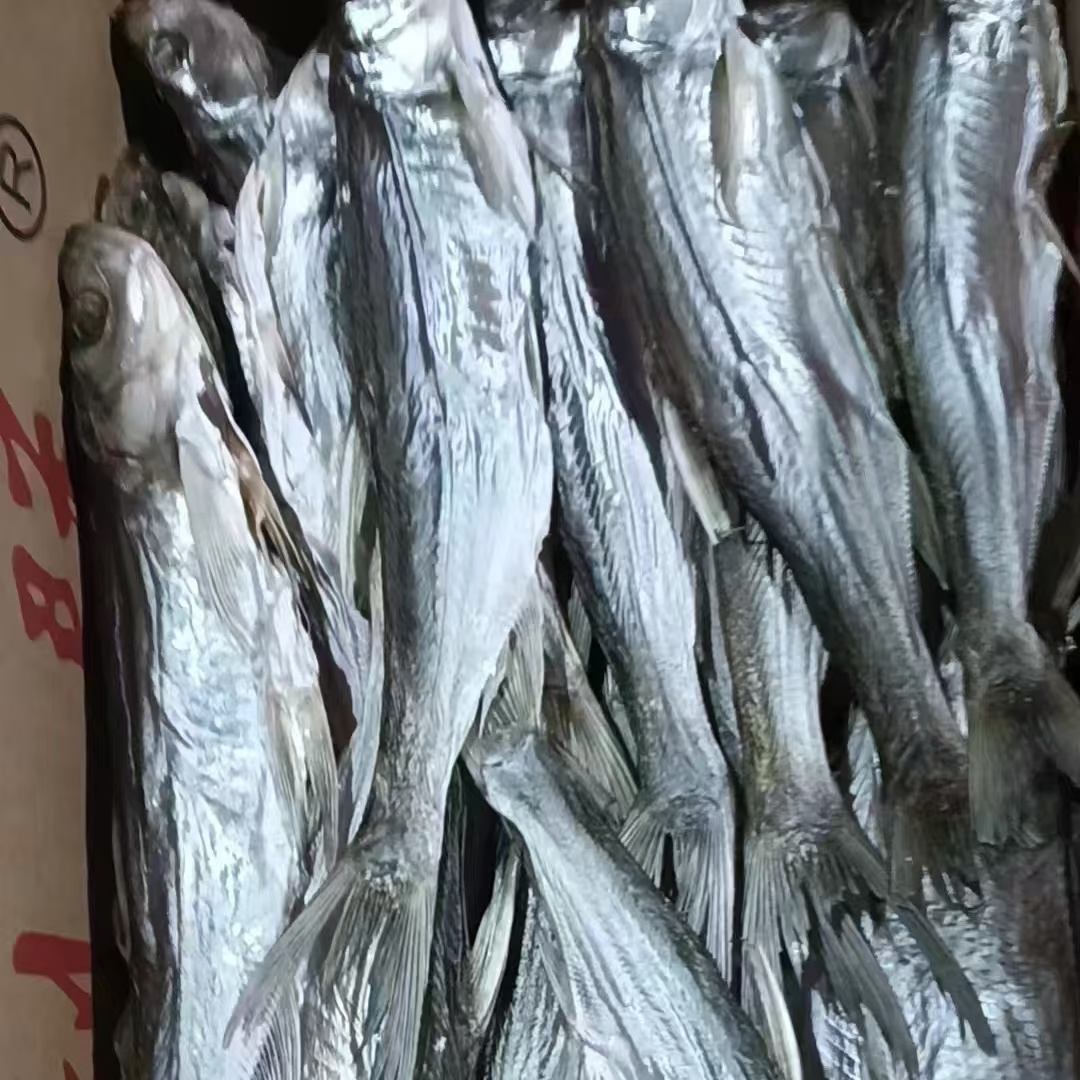 江西鄱阳特产翘嘴白八分干