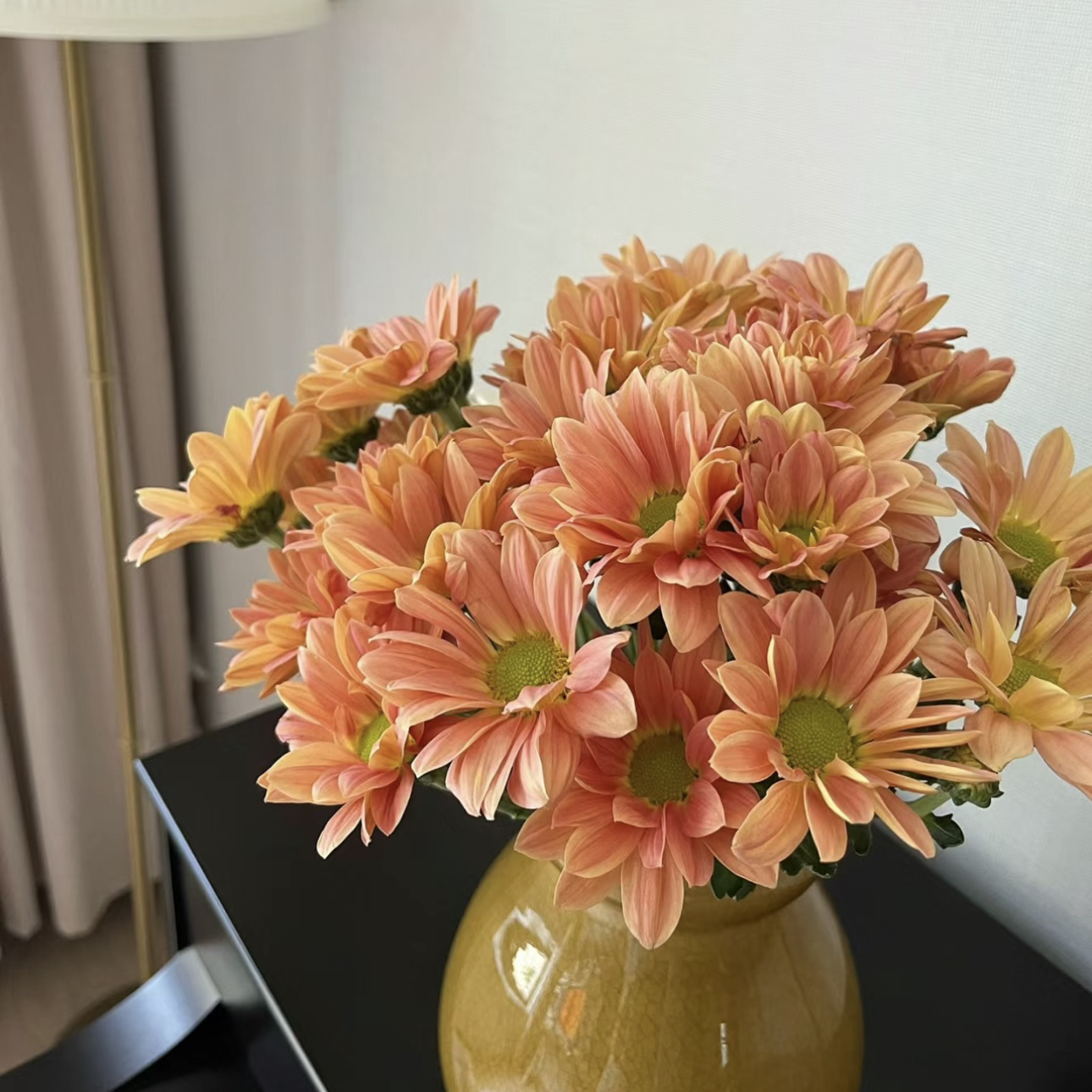 【杨鹏鲜花】橙色 经典三文鱼 小菊 超长待机 云南鲜花包邮