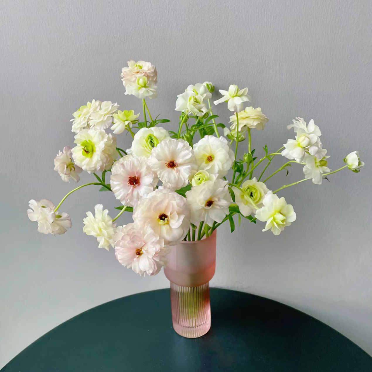 【杨鹏鲜花】香槟蝴蝶洋牡丹云南鲜花包邮（带包装醒花）
