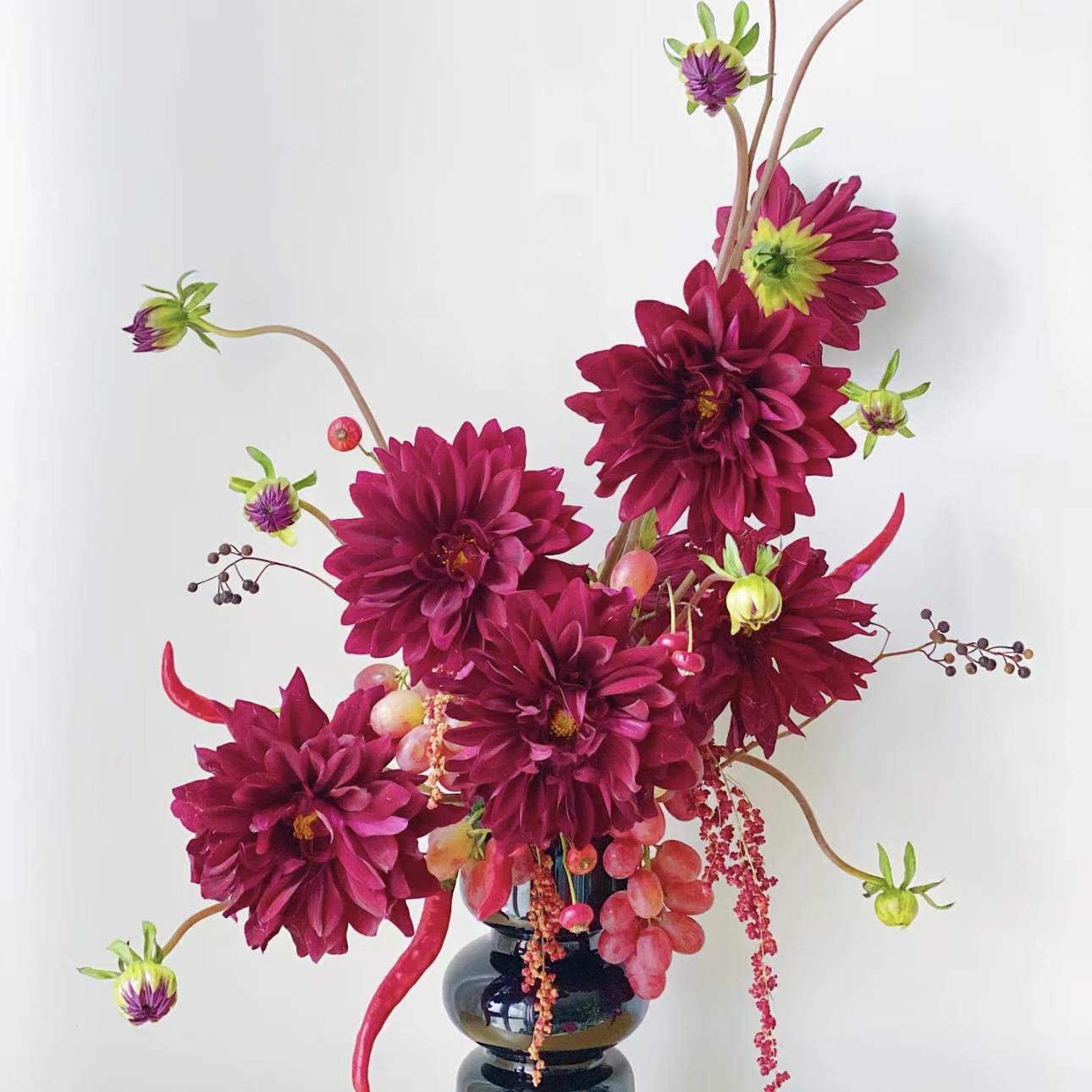 【杨鹏鲜花】 红色大丽花  大吉大利  云南鲜花包邮