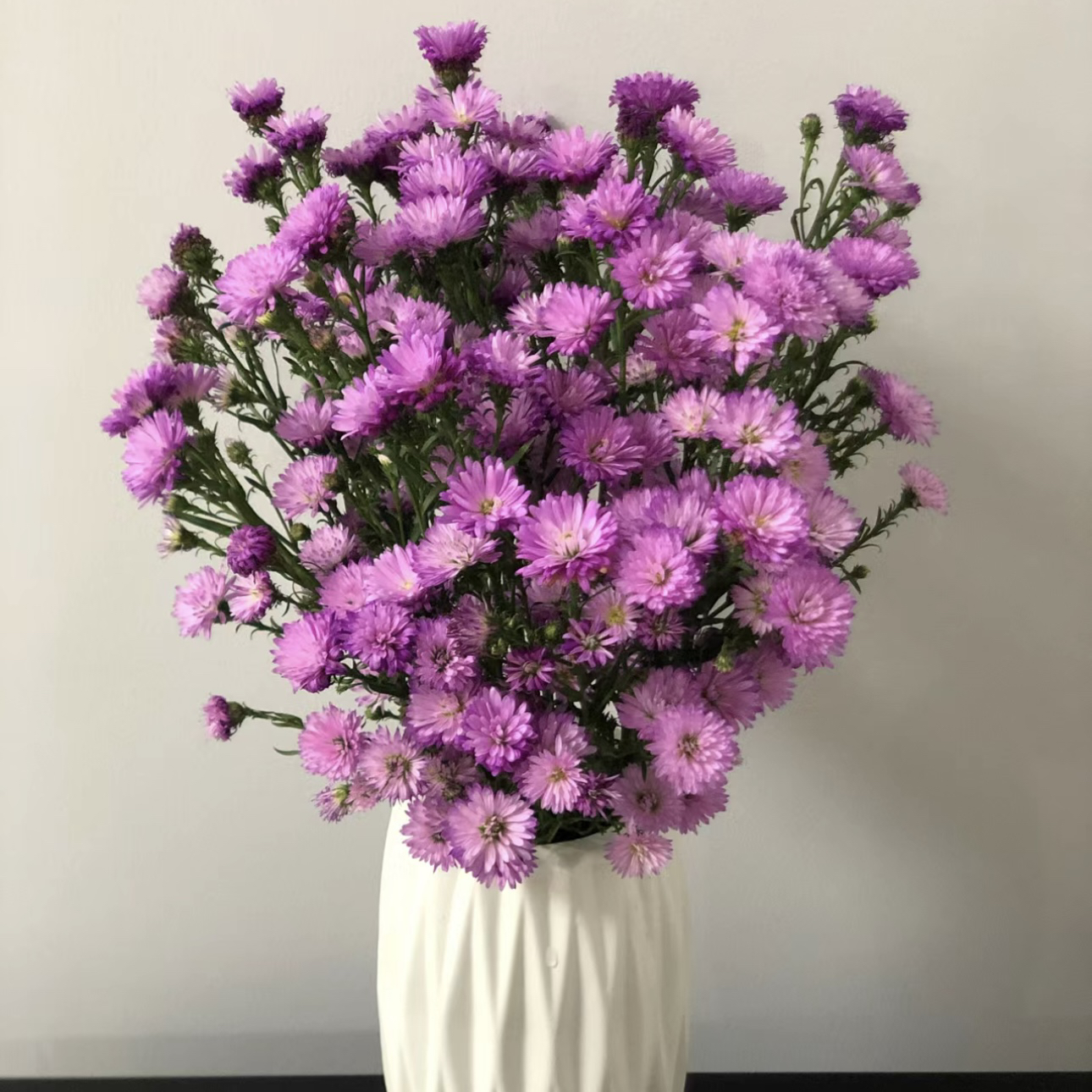 【杨鹏鲜花】深色孔雀草 重瓣云南鲜花包邮