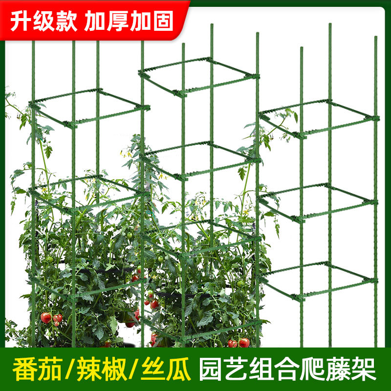 西红柿番茄架子阳台种植架豆角黄瓜爬藤架包塑钢管植物固定支撑架