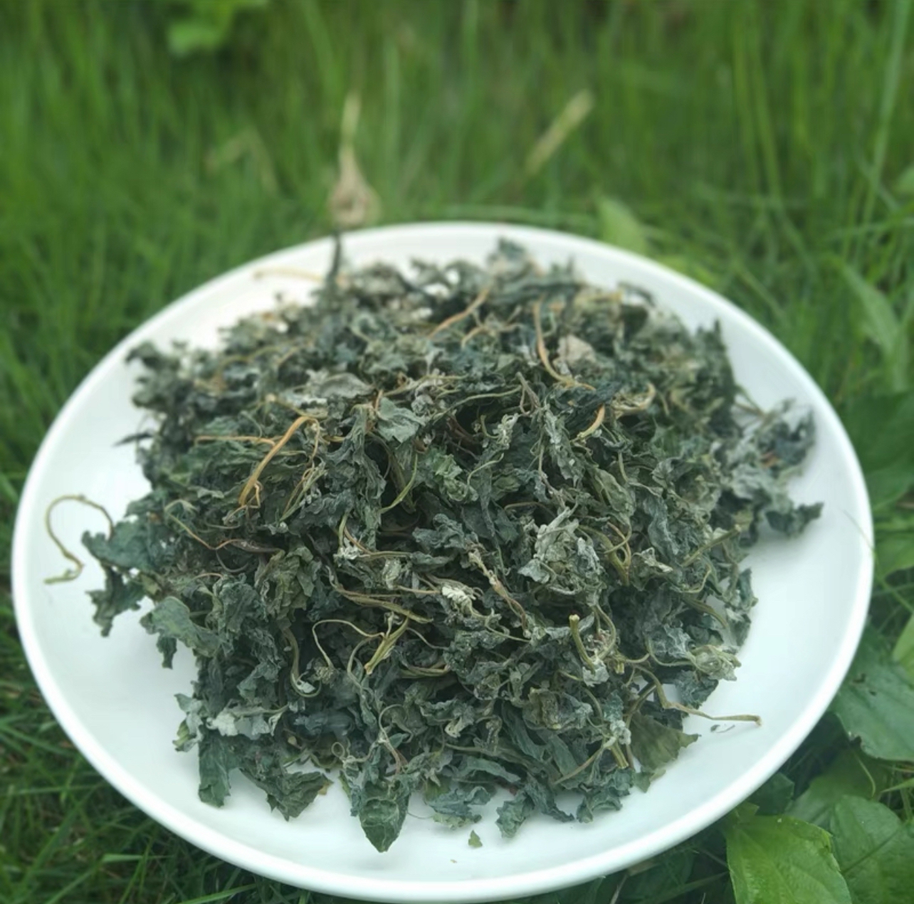 农家手工晾晒灰灰菜250g起包邮