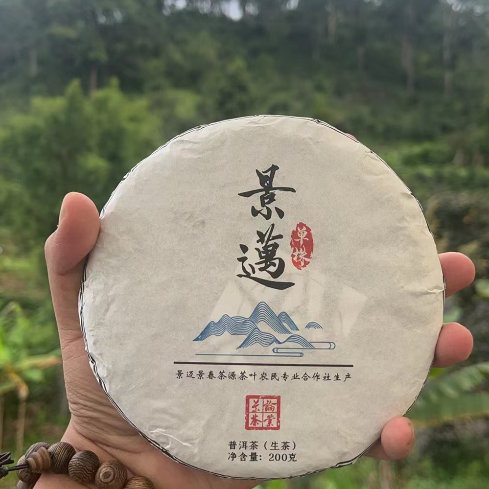 2024景迈山大平掌竹子林500以上古树单株