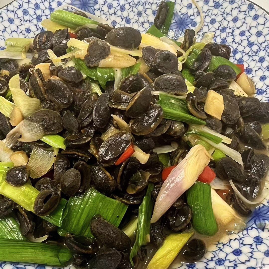 北海特产泥龟，泥归，石磺科、海蛤、土海参、涂归，500克新鲜干净食用