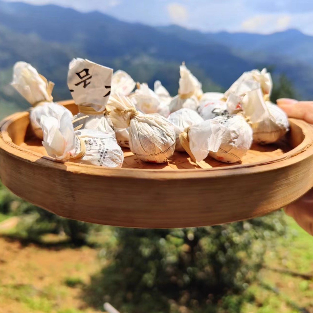 冰岛老寨41号2022年六祥号中古完美茶龙珠8克