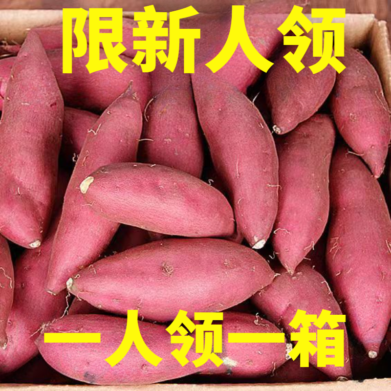 【新店半价】超甜沙地红薯1/5/9斤新鲜红薯地瓜番薯板栗薯新鲜蔬菜