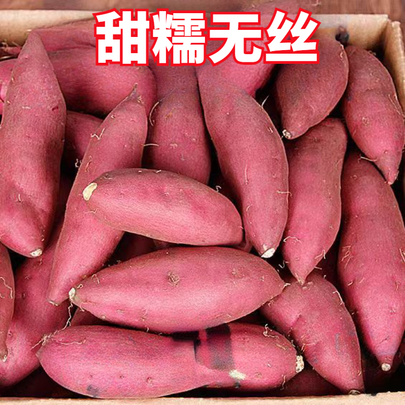【新店半价】超甜沙地红薯1/5/9斤1/5斤西瓜红薯地瓜批发9斤包邮