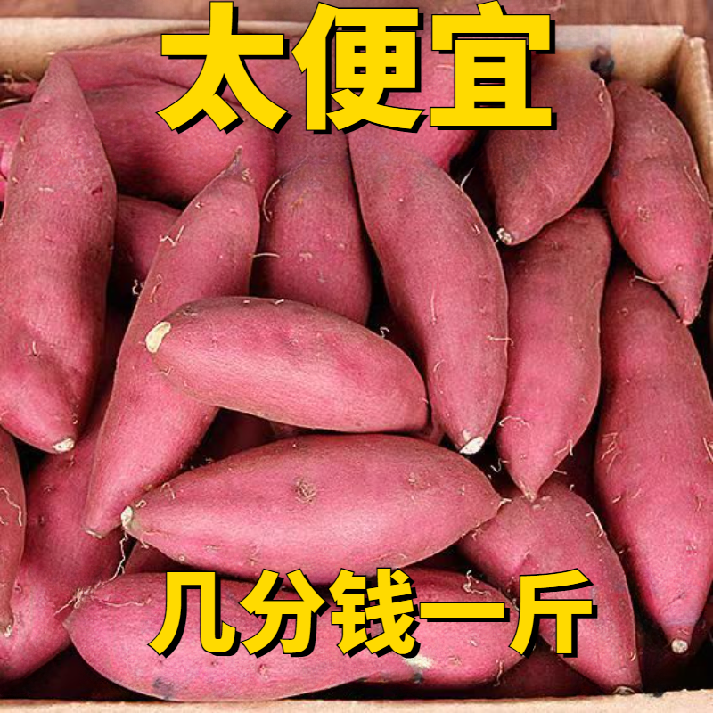 【新店半价】超甜沙地红薯1/5/9斤新鲜红蜜薯地瓜番薯蔬菜批发皮薄