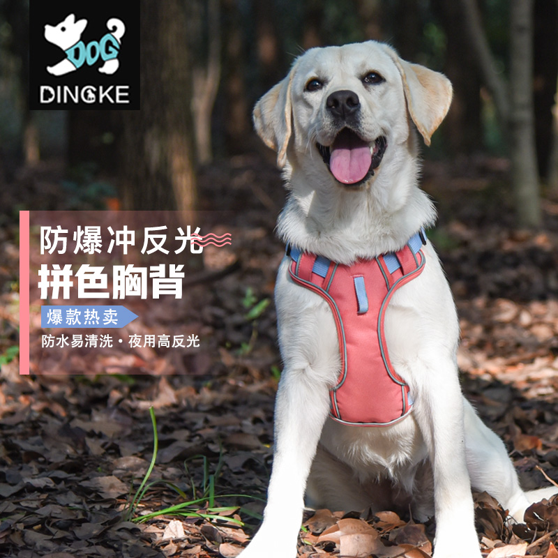  185超萌好物绳胸背带小中大型犬背心式遛狗绳子金毛拉布拉多柯基