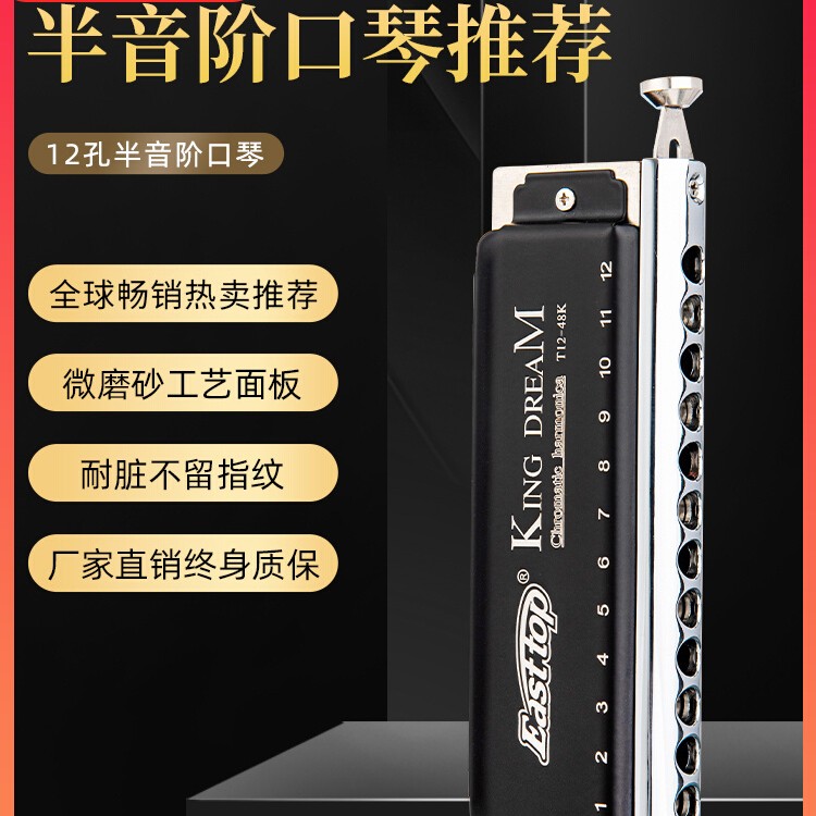 EASTTOP东方鼎金色梦想者12孔半音阶口琴初学入门级T1248K