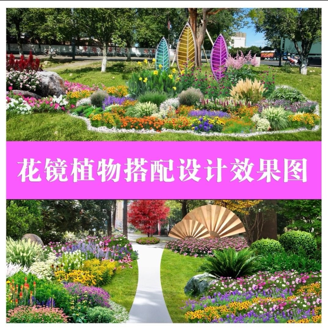 一物一拍【直播专用】室内室外盆栽绿植耐寒耐旱易打理