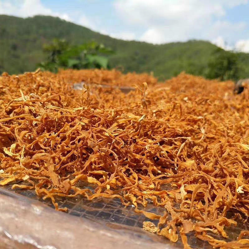 云南红河绿春竹笋丝干货笋农家自制天然野生笋尖丝笋干脆笋尖