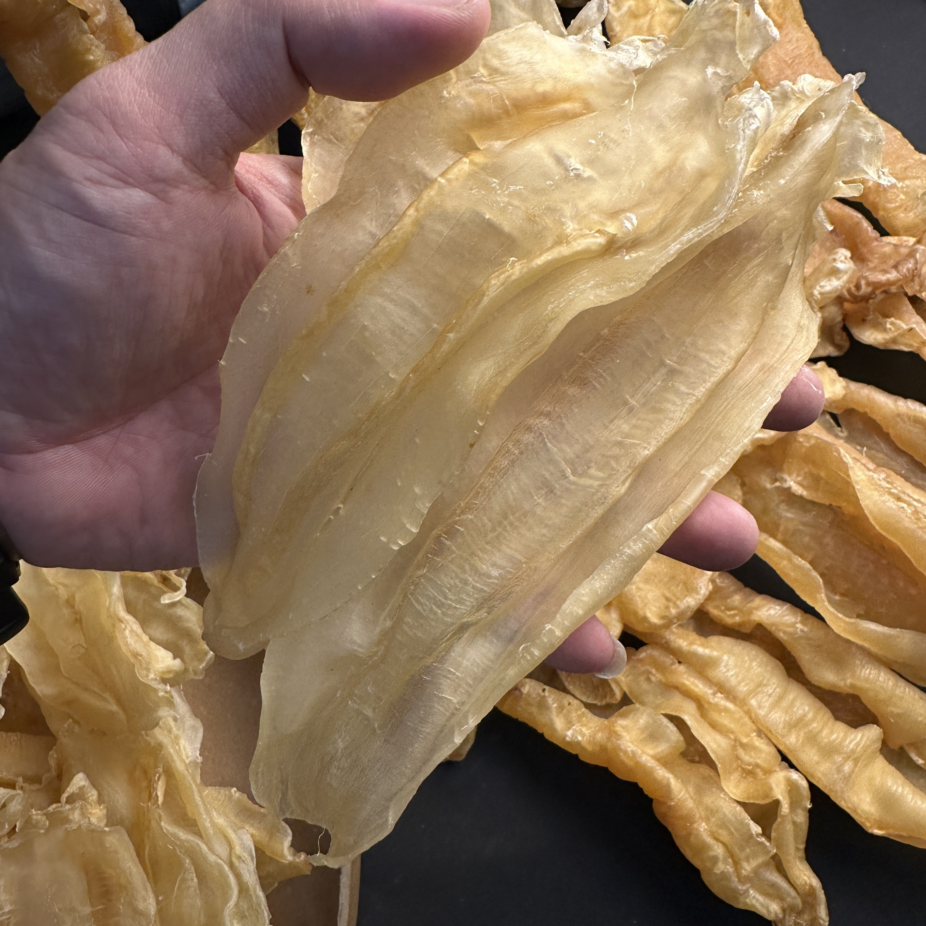 17头精选，特雅北海公鱼胶