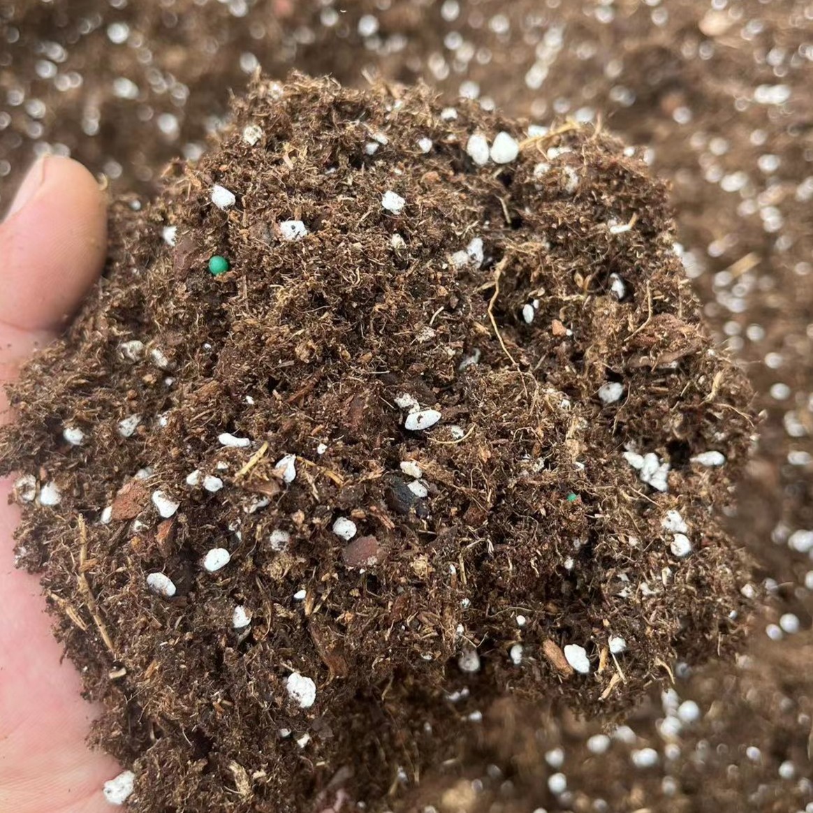 二胖弟弟配方介质盆栽专用营养土40L