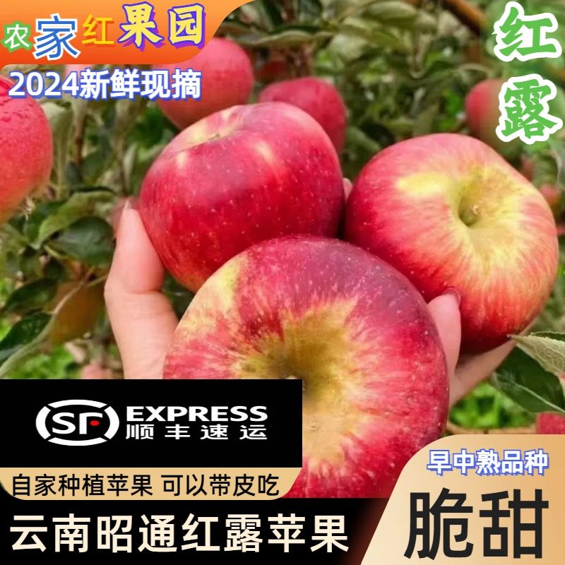 【顺丰】昭通红露苹果种在高山高原大山里新鲜现摘现冰糖心丑苹果