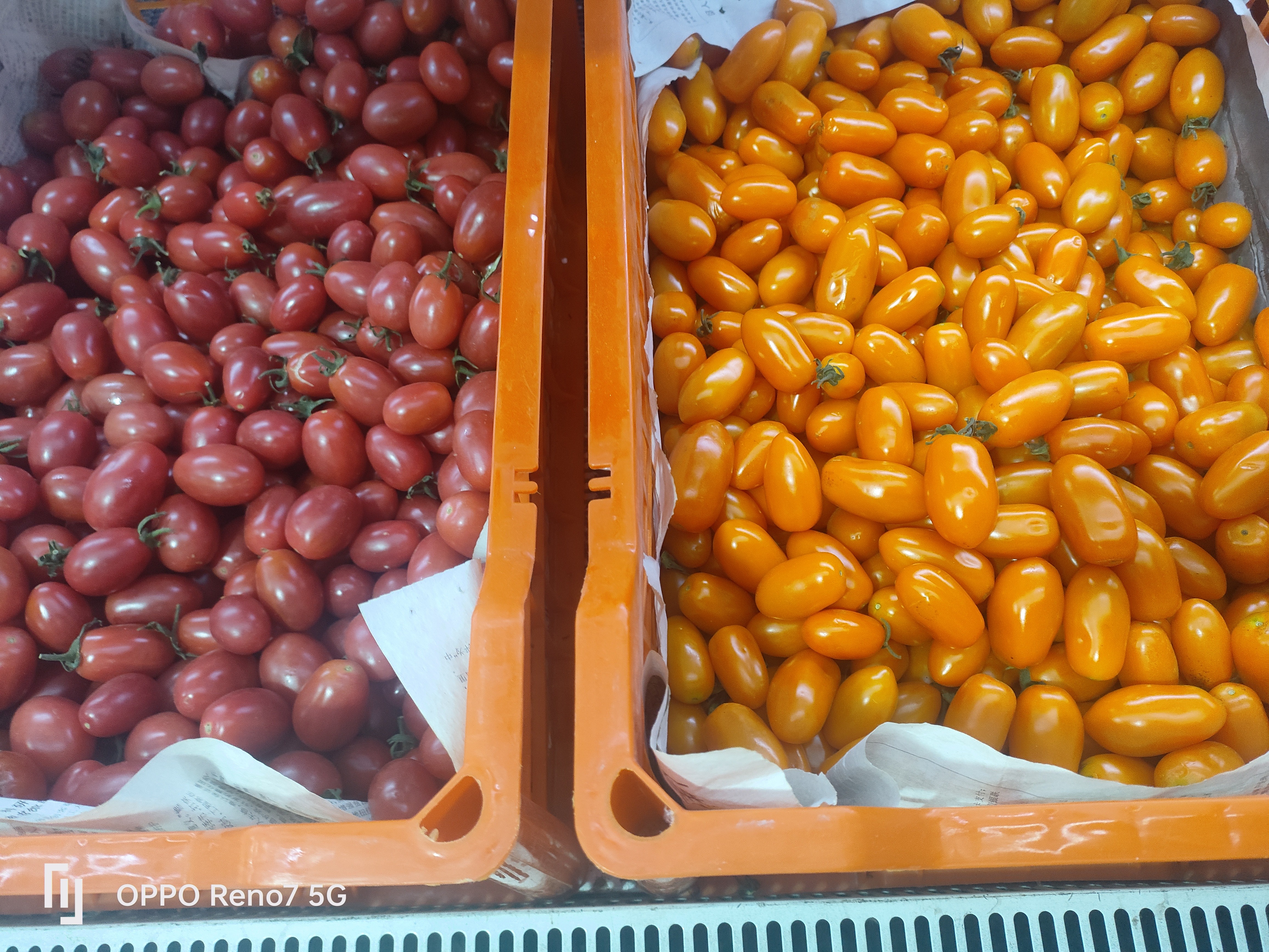 拉萨本地小西红柿 香甜可口