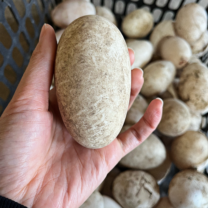 东北土鹅蛋双黄蛋130-145g，当天捡当天发保证新鲜