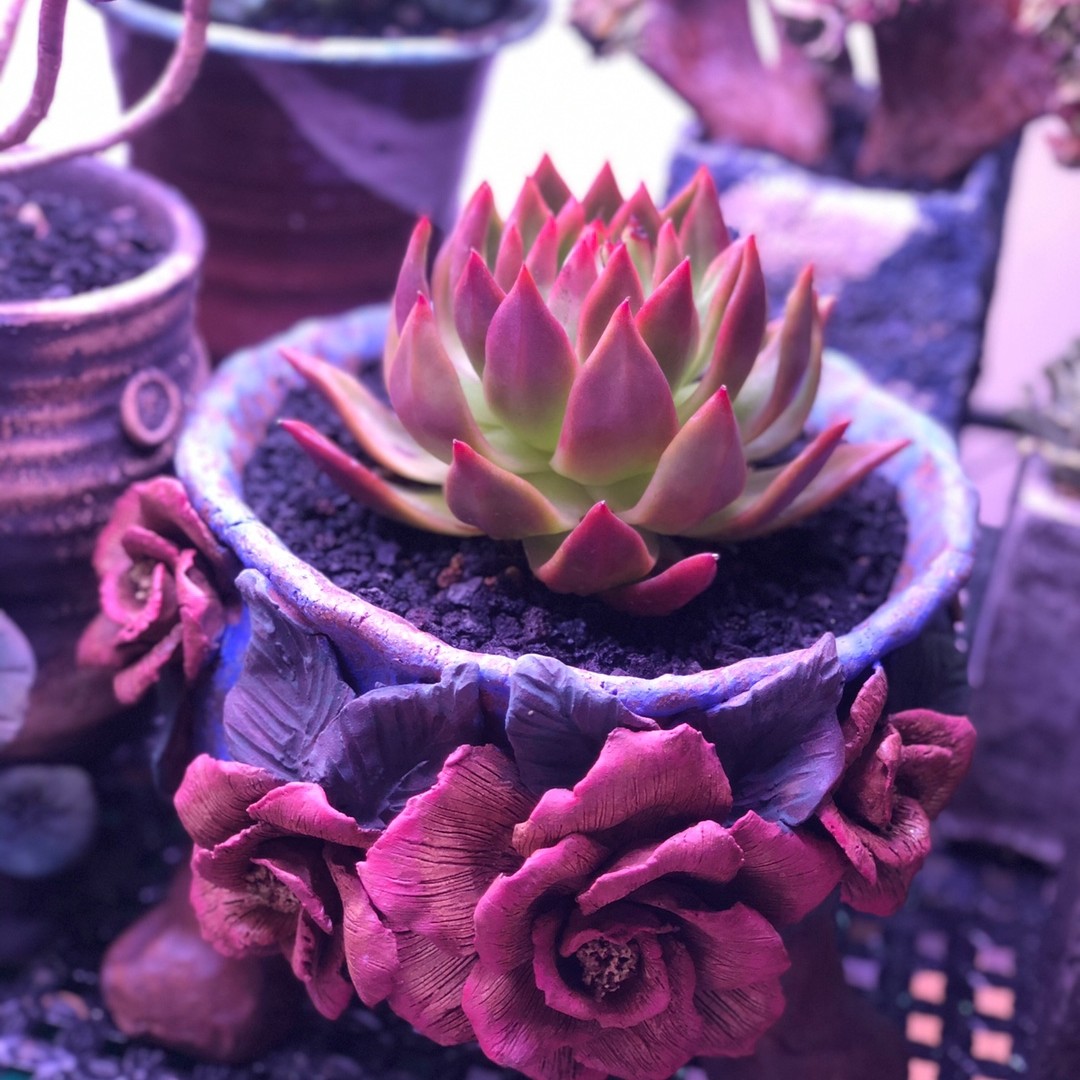 白狐花器多肉陶瓷花盆3号链接