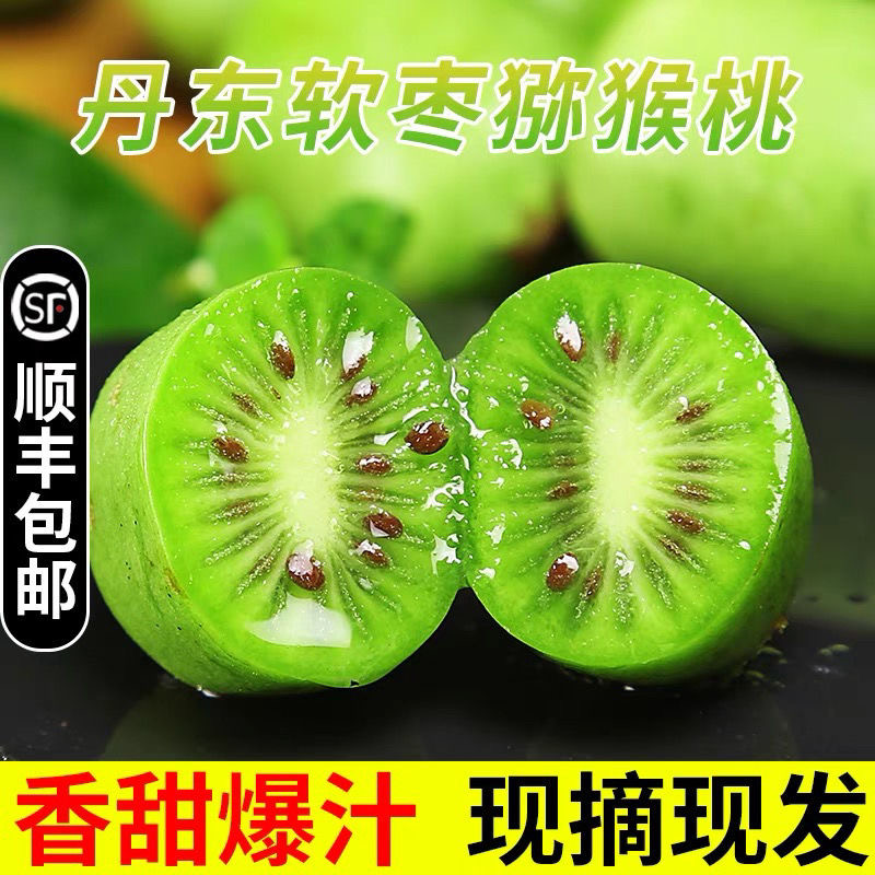 【顺丰包邮 放软食用】奇异莓软枣猕猴桃1/2/3斤装自家果园鲜果发货