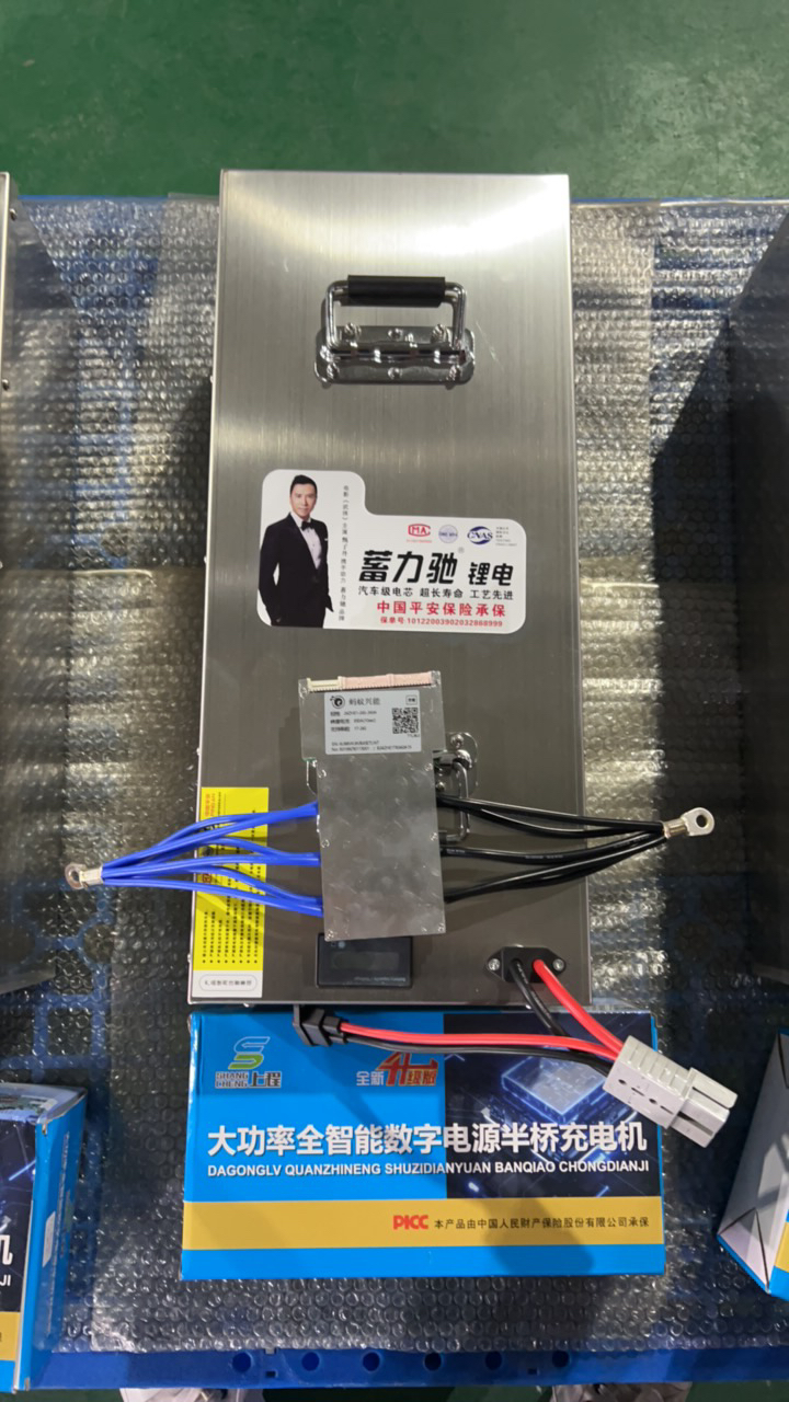 三元锂电池磷酸铁锂电池动力电池低速车锂电池三轮车锂电池四