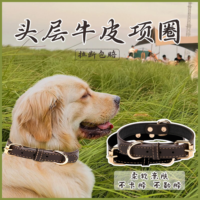 狗狗项圈中大型犬拉布拉多牛皮颈圈脖圈金毛哈士奇马犬真皮狗脖套