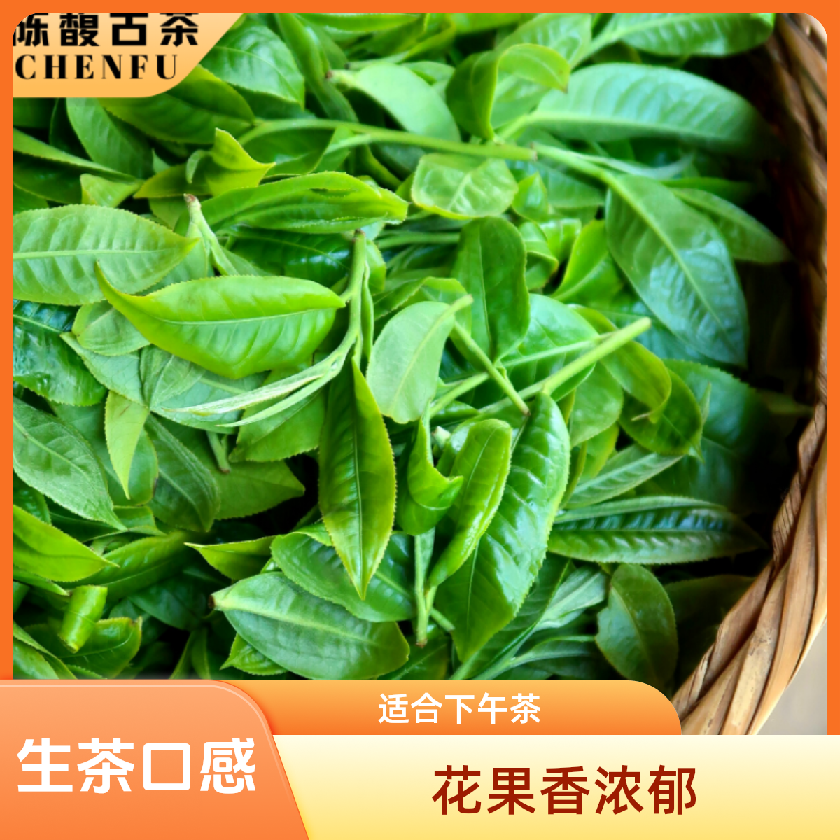 冰岛茶通用链普洱茶生普三家村100克，白水河100克，正气塘100克