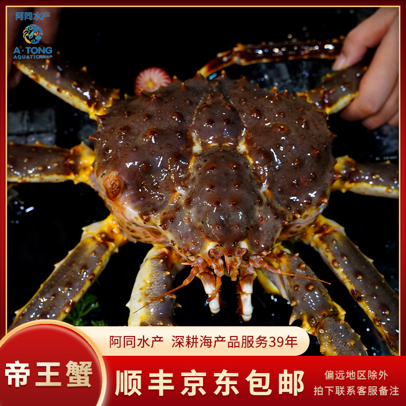 【阿同水产】缺氧帝王蟹直播间现称主播现称