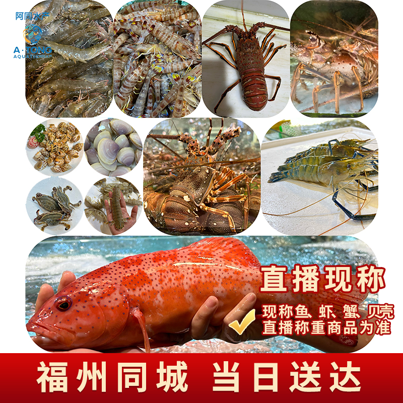 【保鲜不保活】10号鱼虾蟹直播间现称为准 1/1.5斤规格单只1两以上 