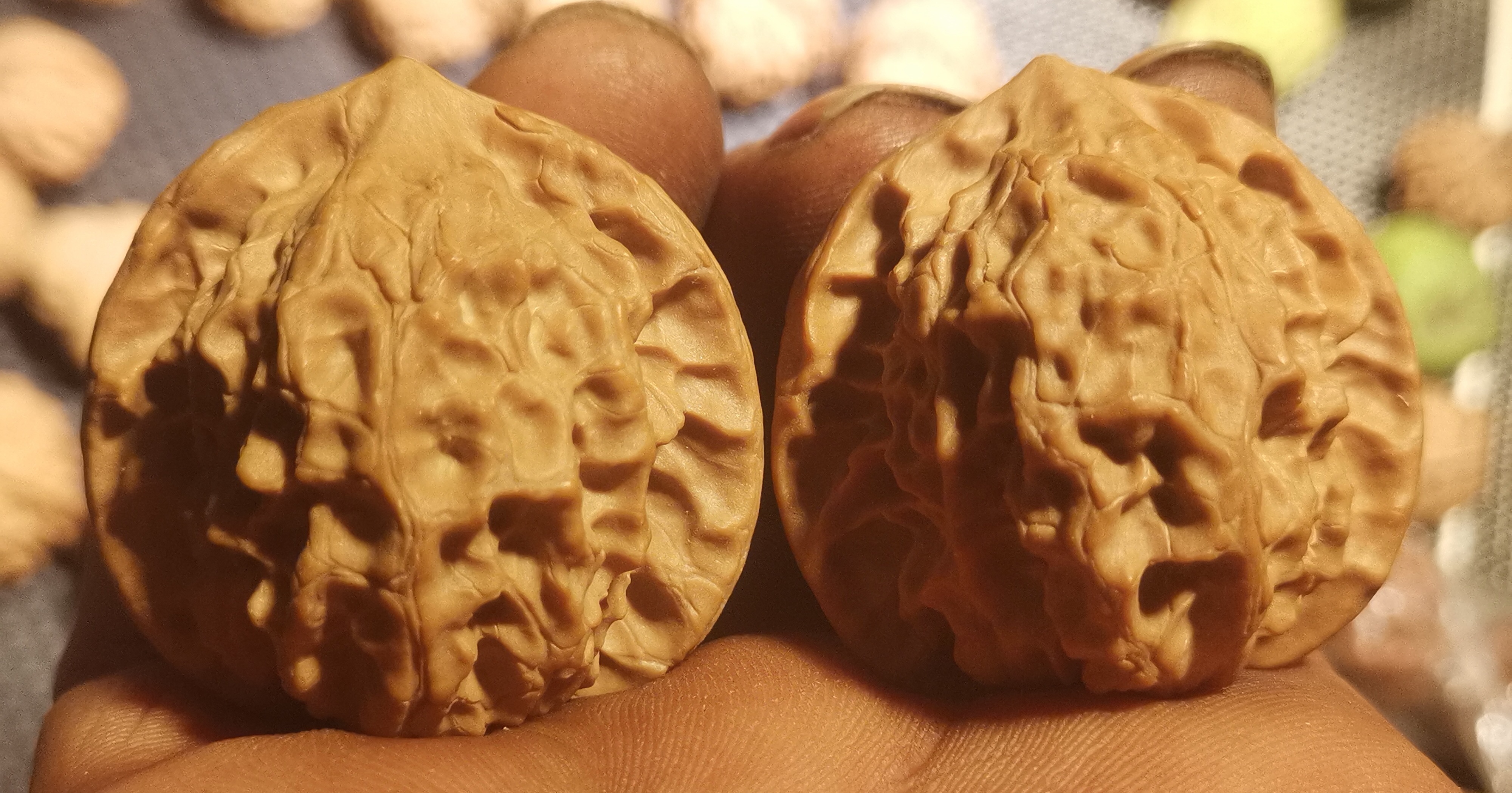 36号小众白蛇谷狮子头边39/39肚39/39高38/39