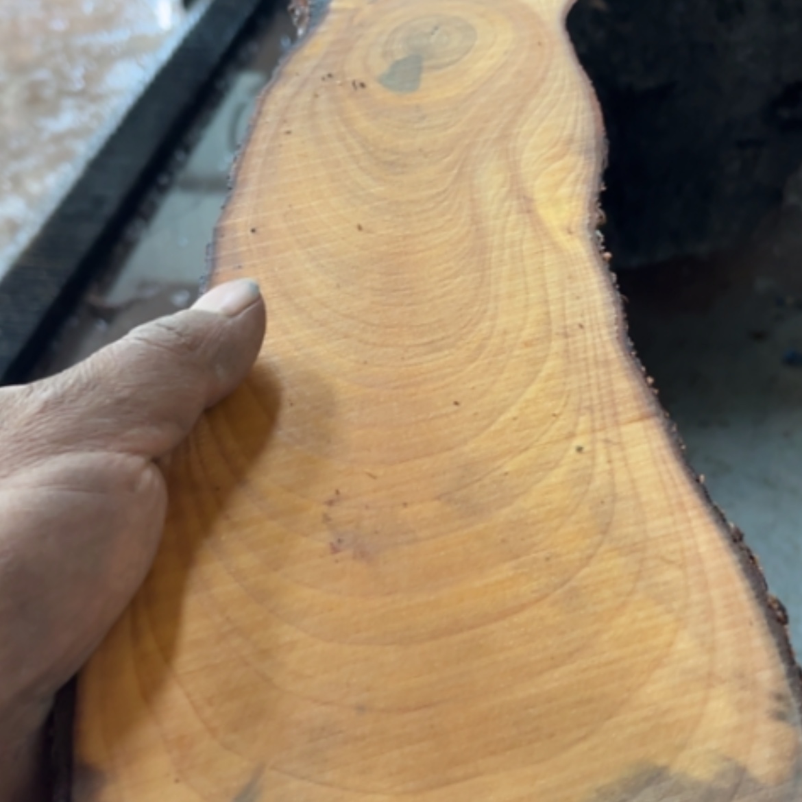 【闪购商品】木头根雕有**去