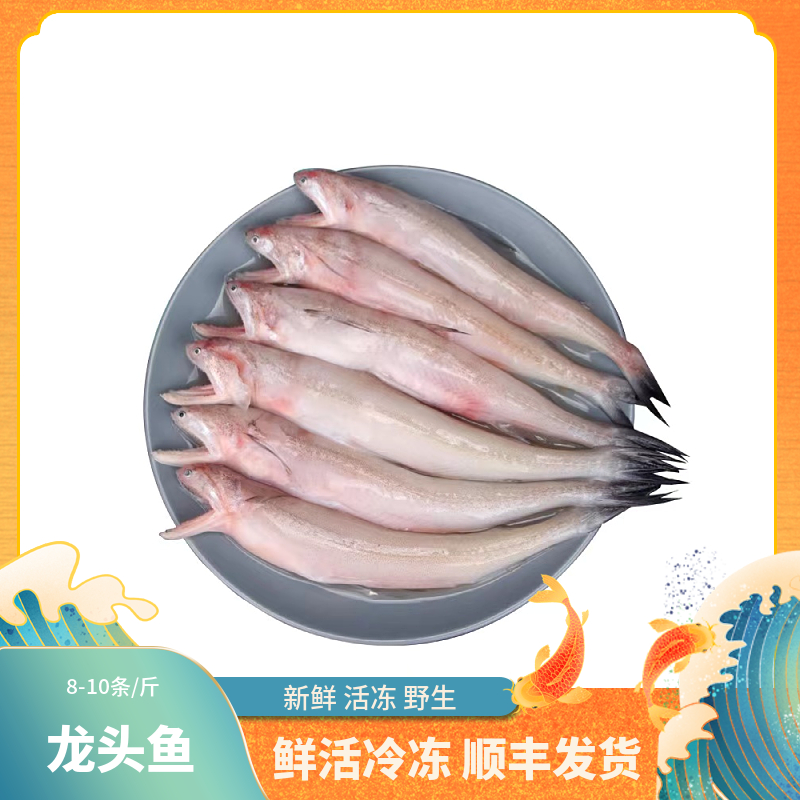 福建船捕【龙头鱼】省内当天送达