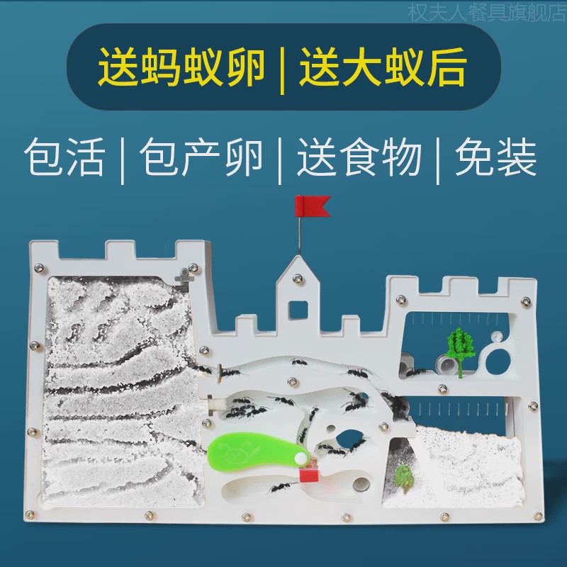 2024新款蚂蚁城堡工坊宠物收获蚁学生观察蚁巢蚁后生态箱家园庄园