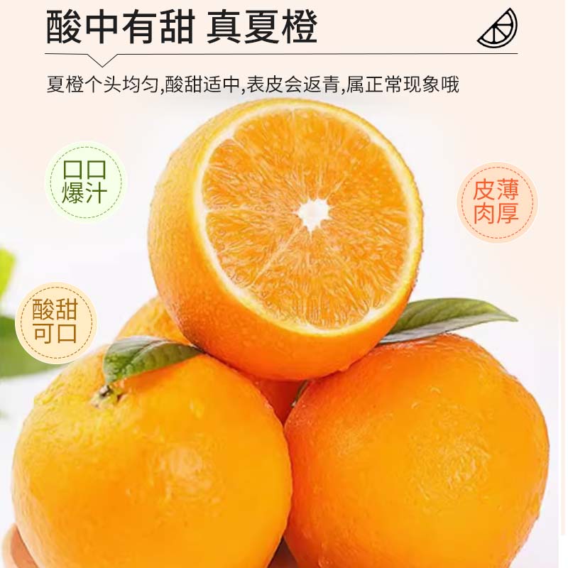 广西桂林高山夏橙新鲜脆嫩5斤9斤现摘应季水果香甜皮薄细腻鲜甜
