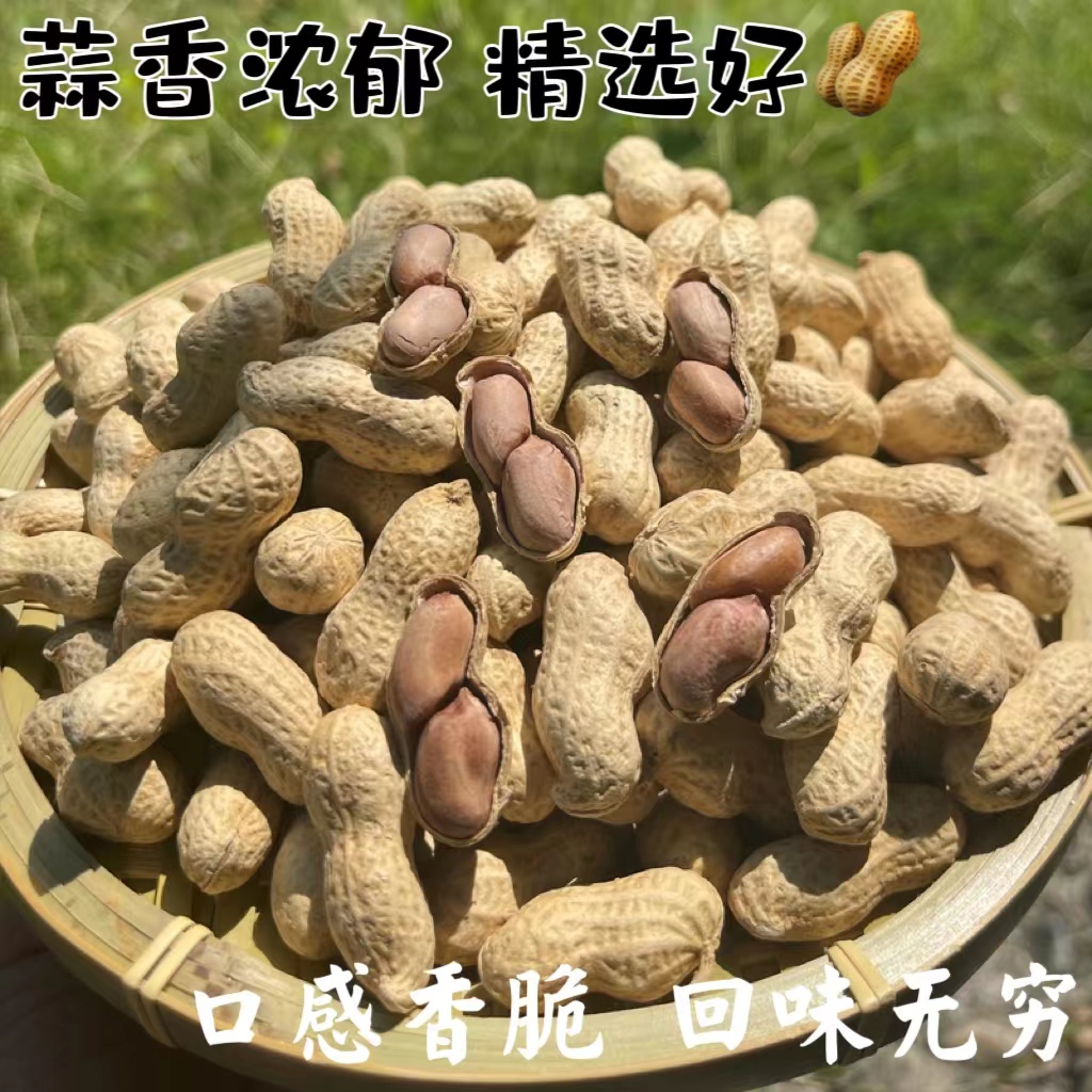 广东特产蒜蓉味花生酥脆皮薄休闲零食品坚果下酒菜水煮咸干500g