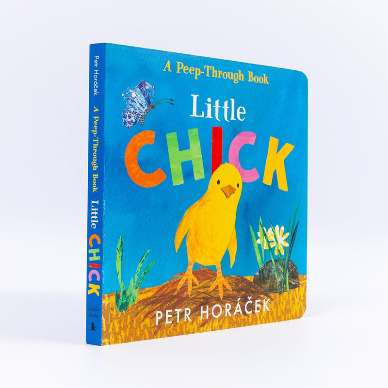 筑桥Little Chick 小鸡 原版引进