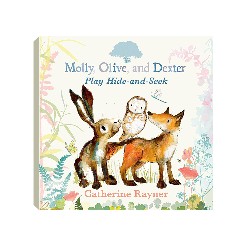 筑桥Molly, Olive, and Dexter Play Hide-and-Seek美版 原版引进