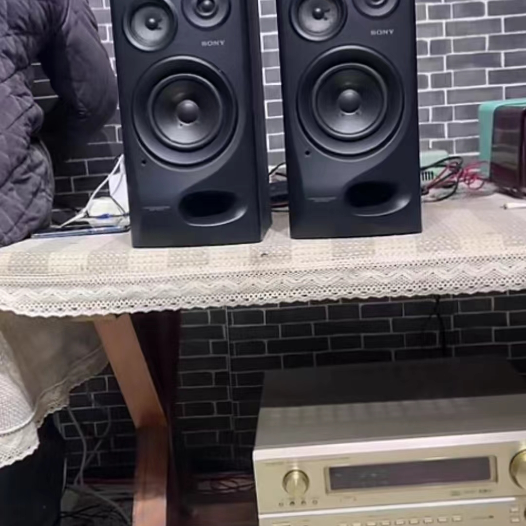 SN音箱 不支持7天无理由退货  运费自理