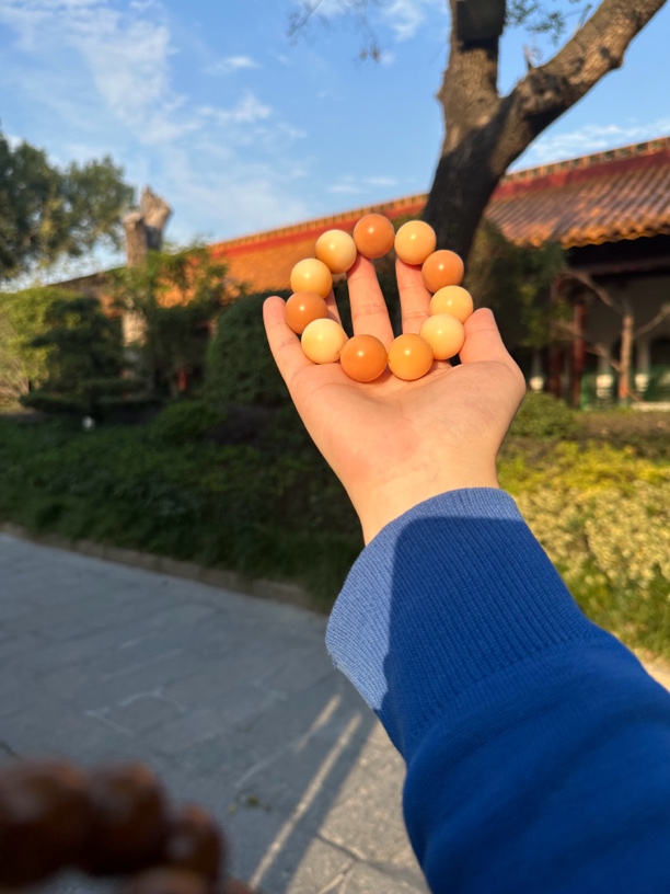 卡22尺寸多宝色圆珠