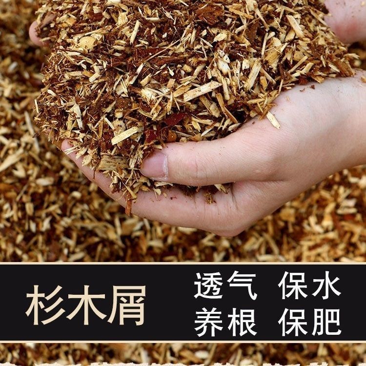 兰花专用土纯红杉树木屑兰科专用疏松透气保湿营养土