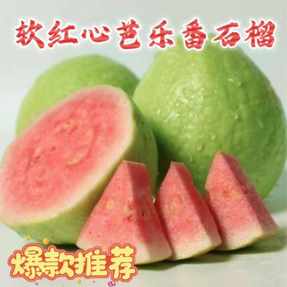 [精品奶油芭乐大果]广西老树高端红心芭乐番石榴水果3/5斤净重