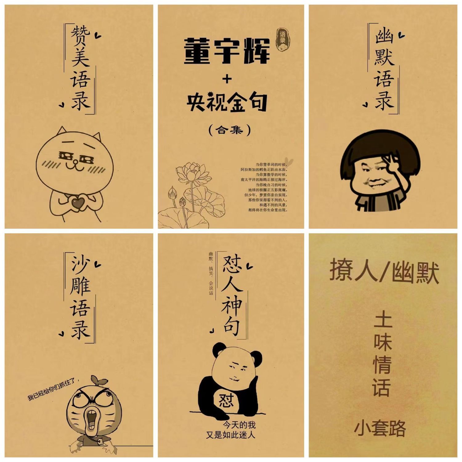 董宇辉语录央视金句合集赞美幽默搞笑怼人喜欢语录硬笔练字帖学习