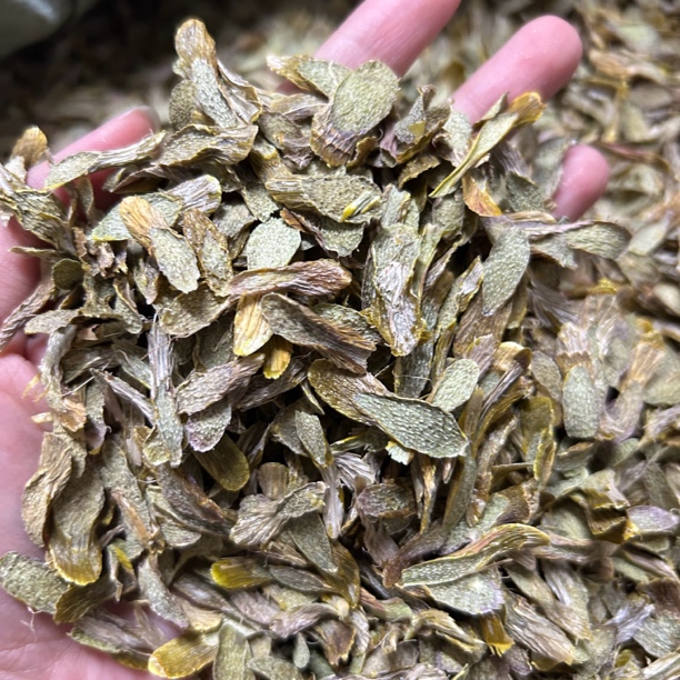 【凤姐直播间】正宗铁皮石斛片 大片 胶质满满 200克包邮