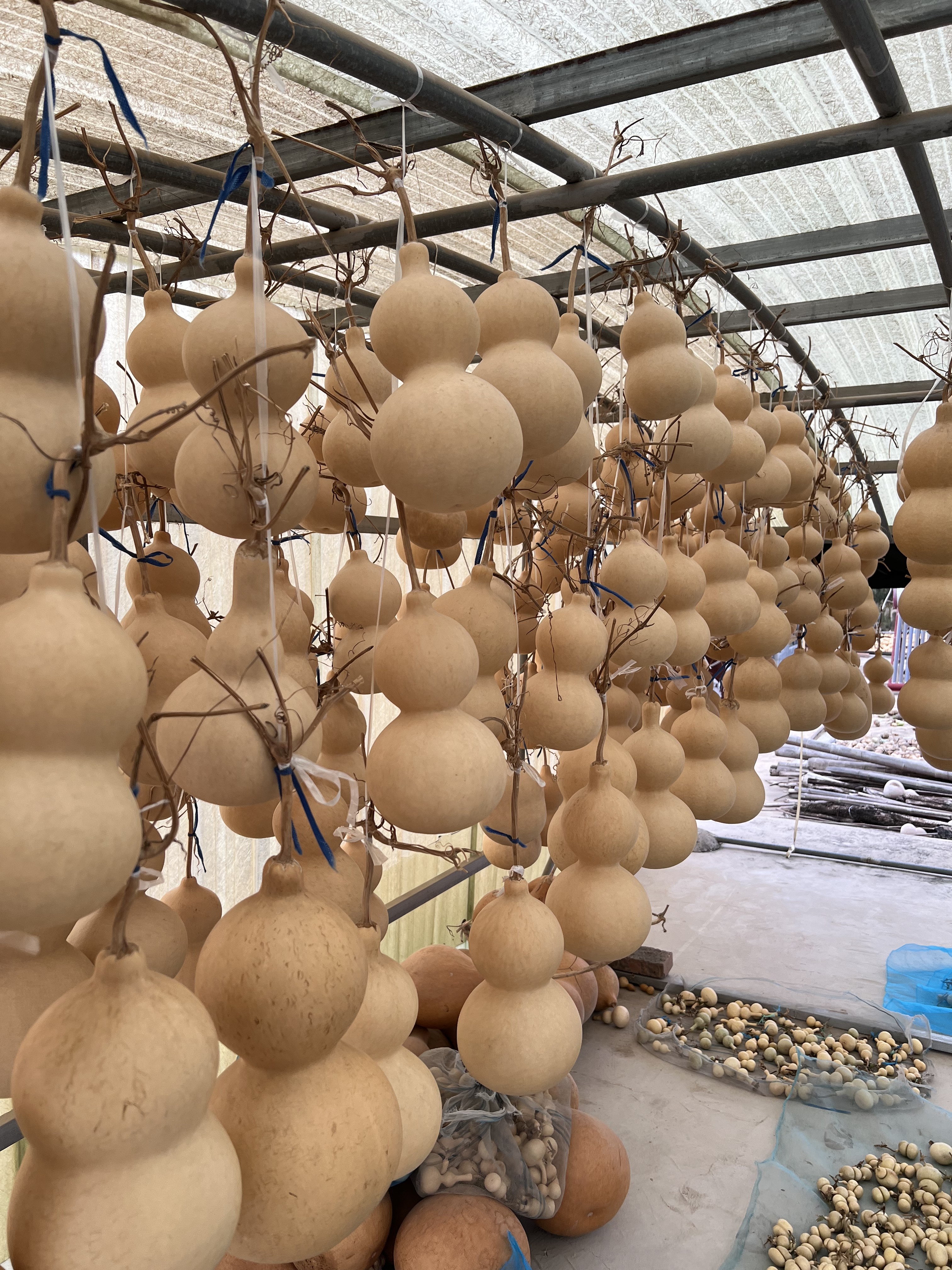 天然葫芦  家居葫芦摆件