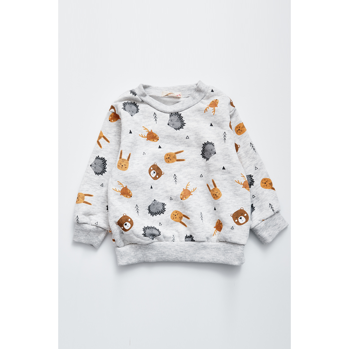 外贸单  男女宝秋冬新款 儿童内薄绒满印动物百搭可爱套头卫衣