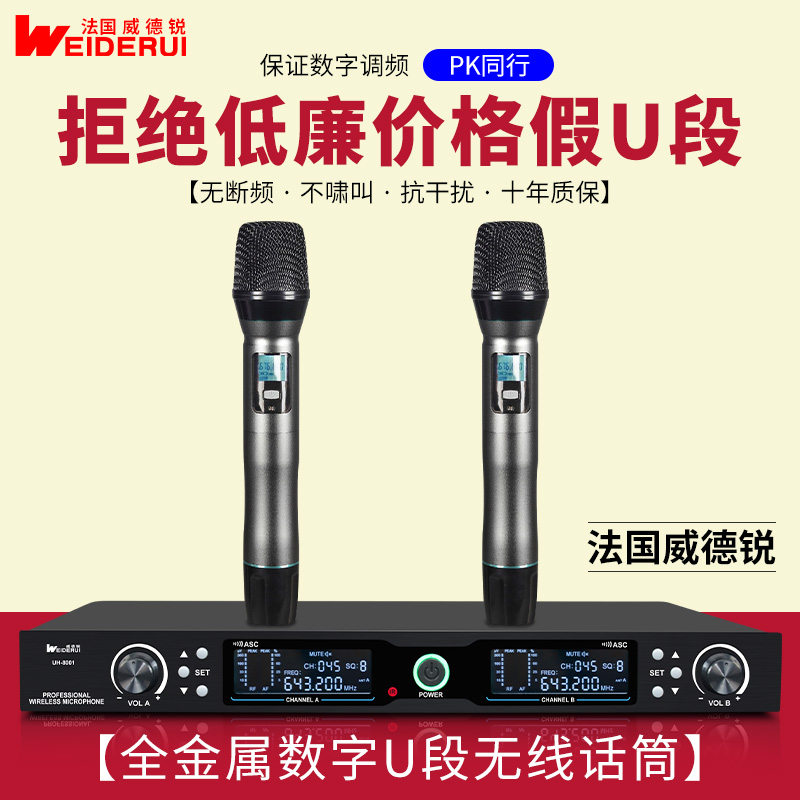 家用演出高保真U段一拖二金属无线话筒KTV卡拉OK舞台防啸叫麦克风