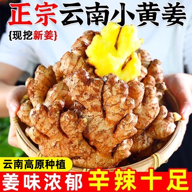【云南】高山小黄姜新鲜现挖营养原色脆嫩煲汤美味产地产品5斤包邮