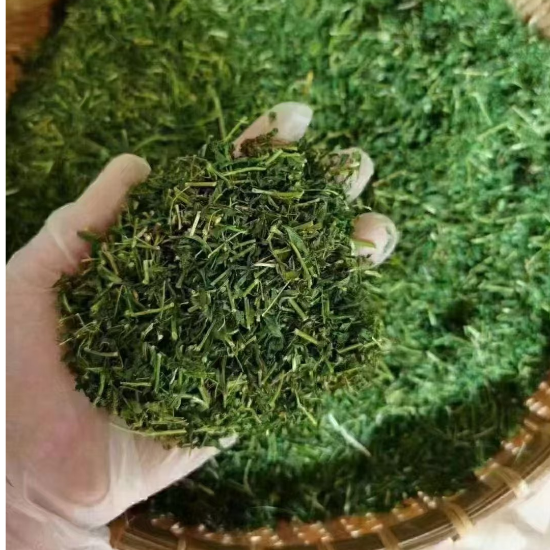 【张近】粤北大山甜鸡骨叶，相思叶，250克/500克包邮