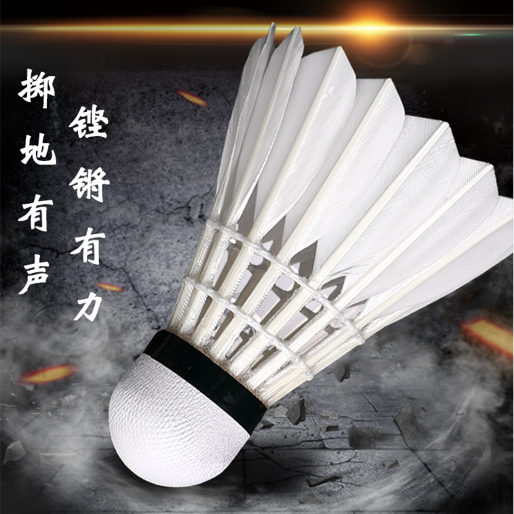 羽毛球击球3只6只12只耐打鹅毛打比赛学习娱乐训练羽毛球尼龙球